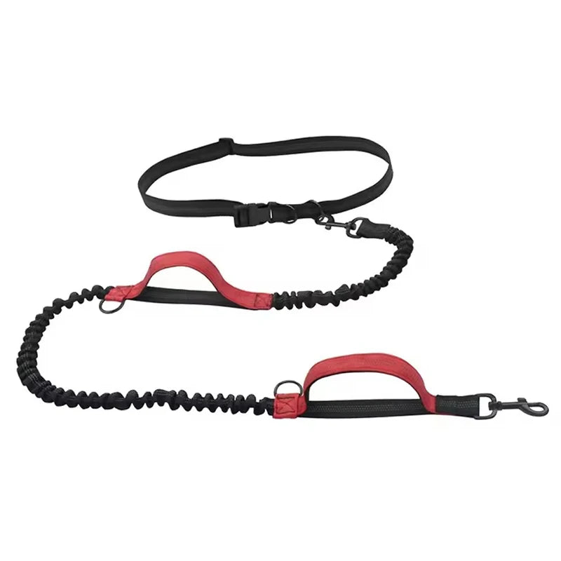 Hands-Free Reflective Dog Leash