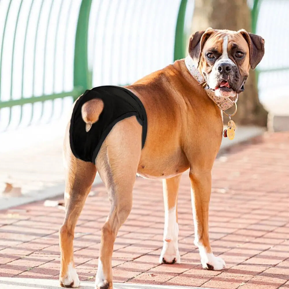 Adjustable Dog Sanitary Pants