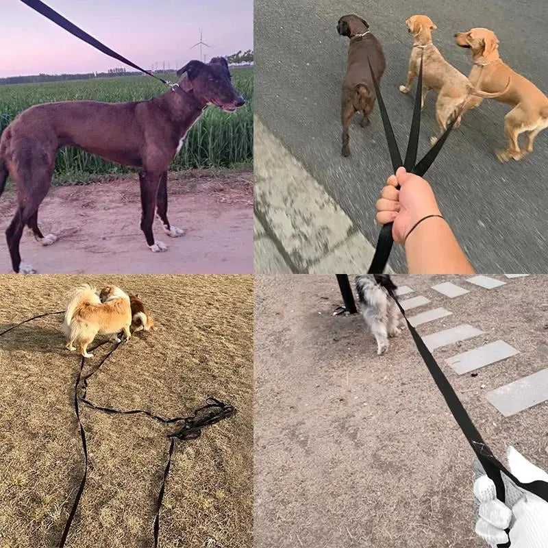 Extra Long Nylon Dog Training Leash