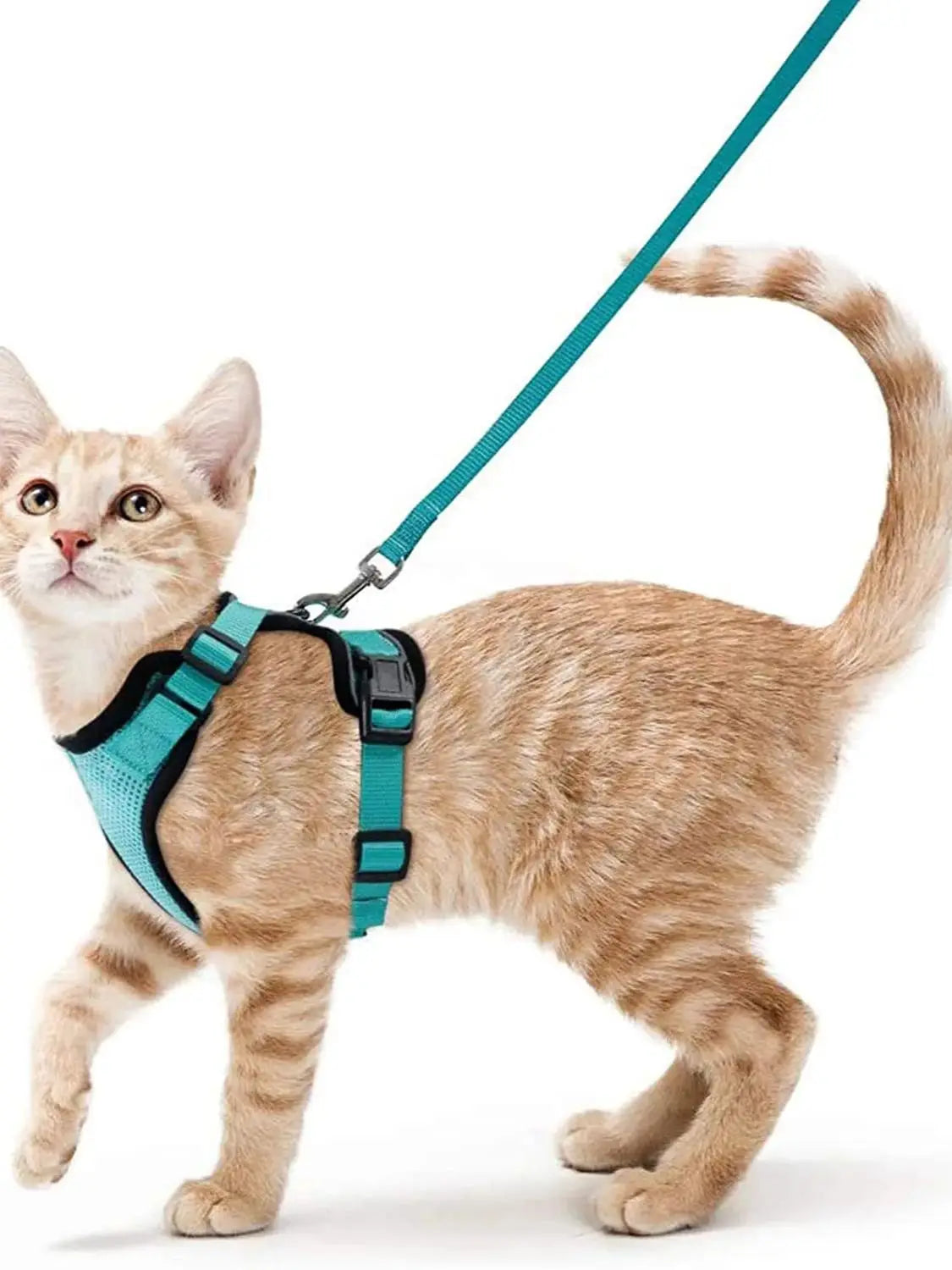 Adjustable Cat Harness with Leash
