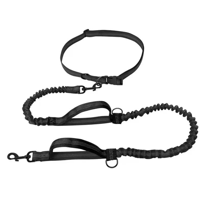 Hands-Free Reflective Dog Leash