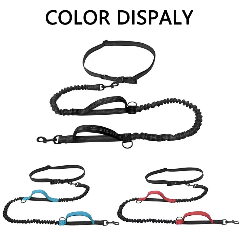 Hands-Free Reflective Dog Leash