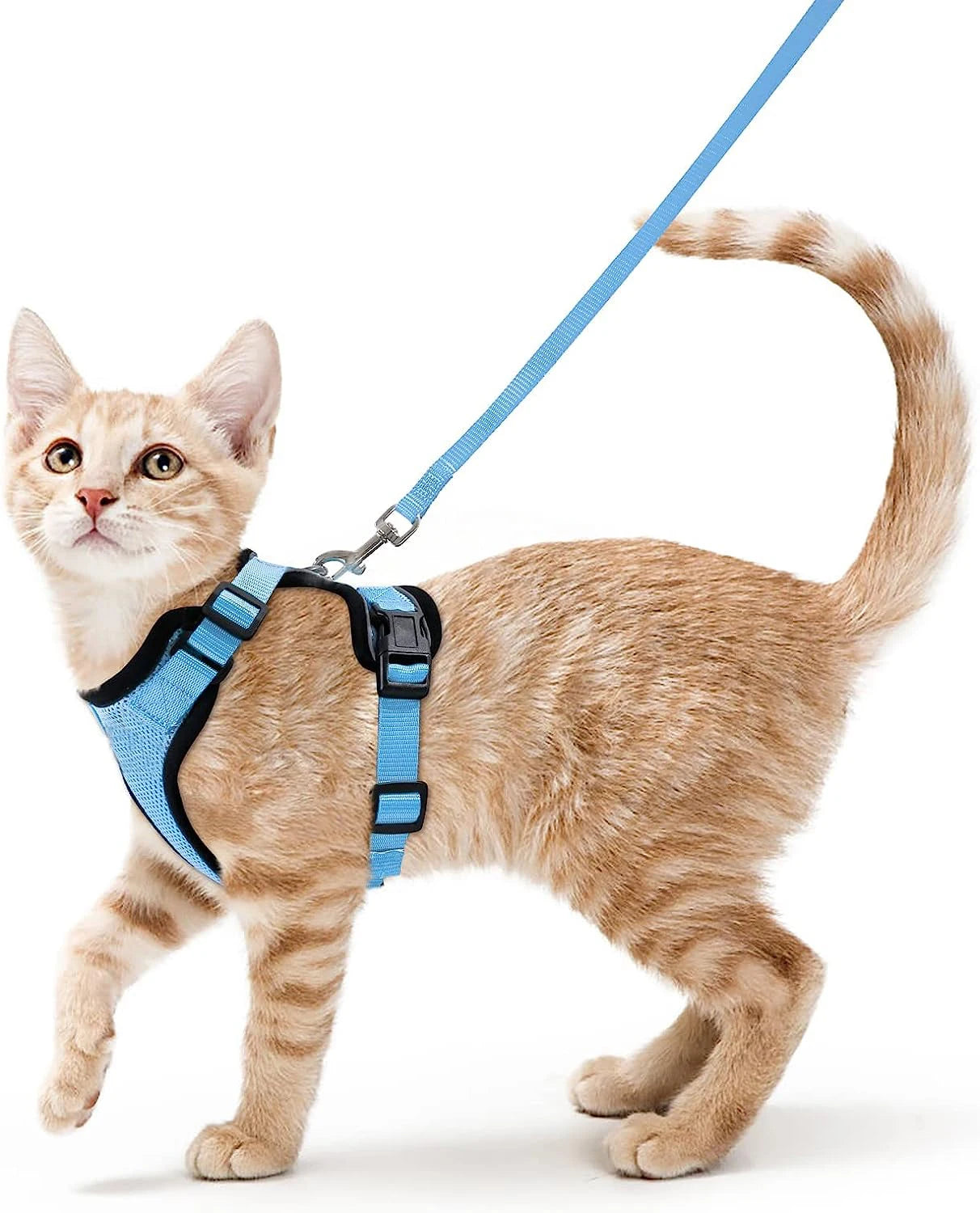 Adjustable Cat Harness with Leash