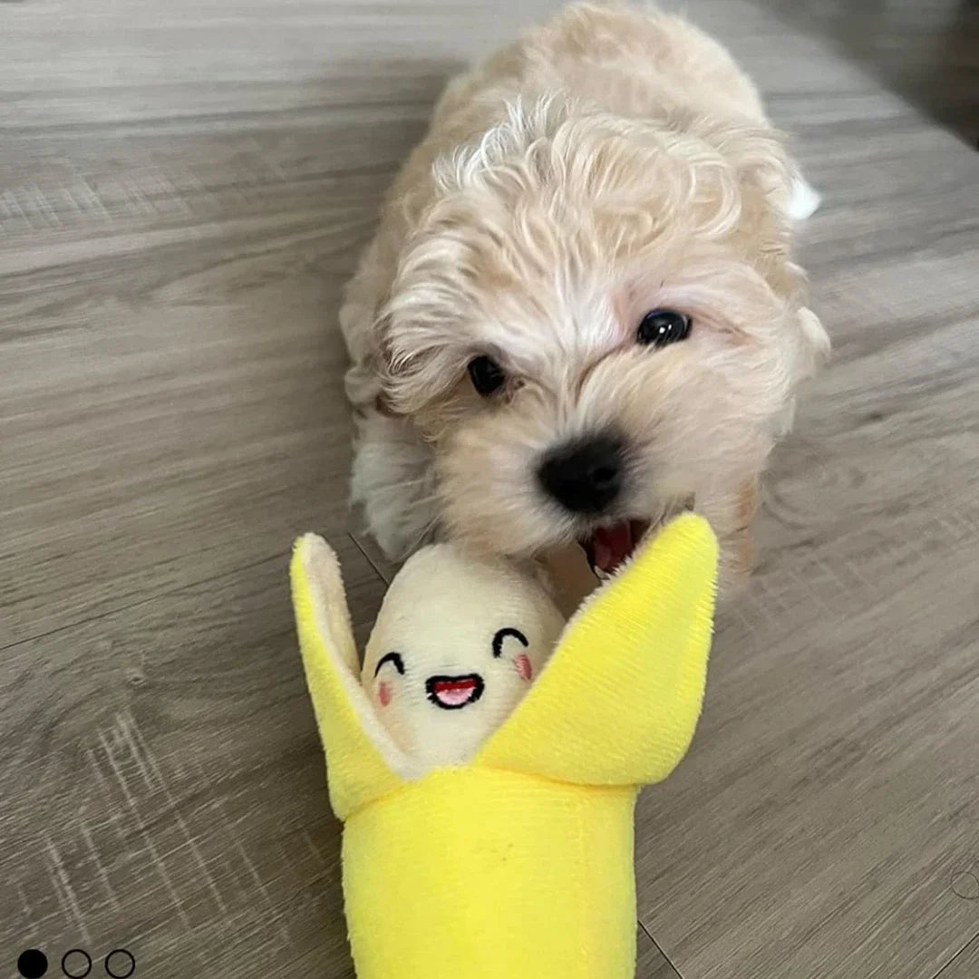 7-Piece Plush Dog Toy Set