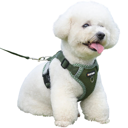 Reflective Breathable Pet Harness with Leash