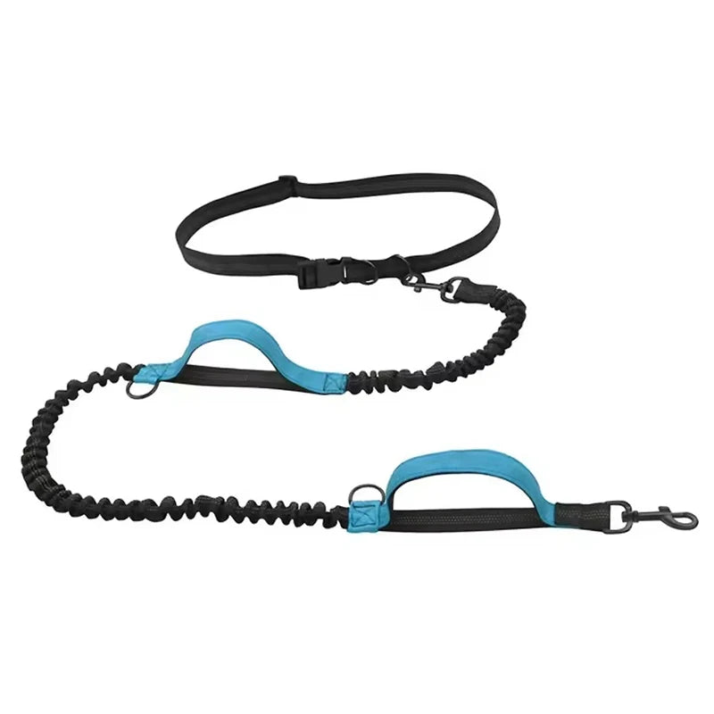Hands-Free Reflective Dog Leash