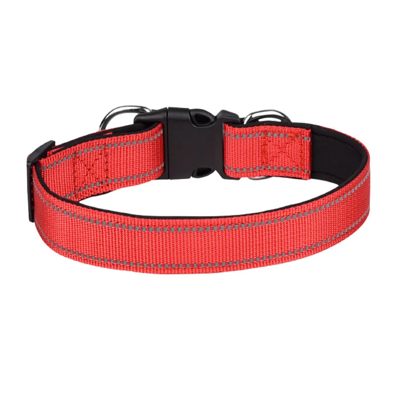 Reflective Padded Dog Collar