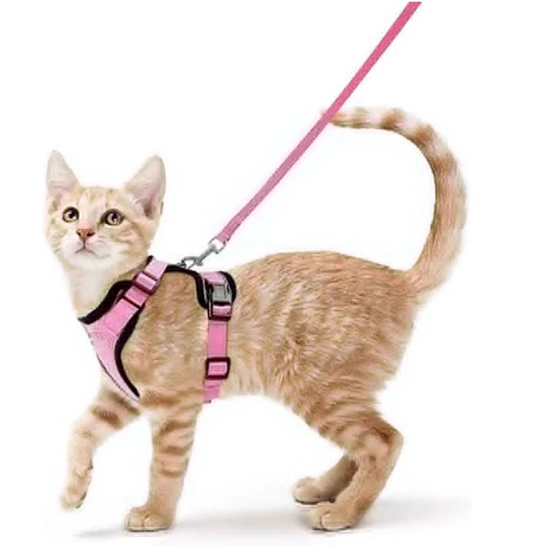 Adjustable Cat Harness with Leash