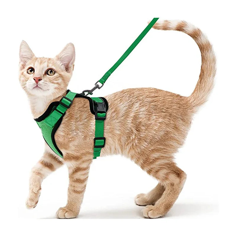 Adjustable Cat Harness with Leash