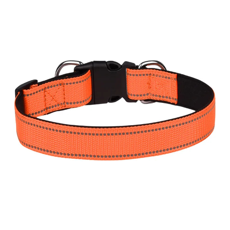 Reflective Padded Dog Collar