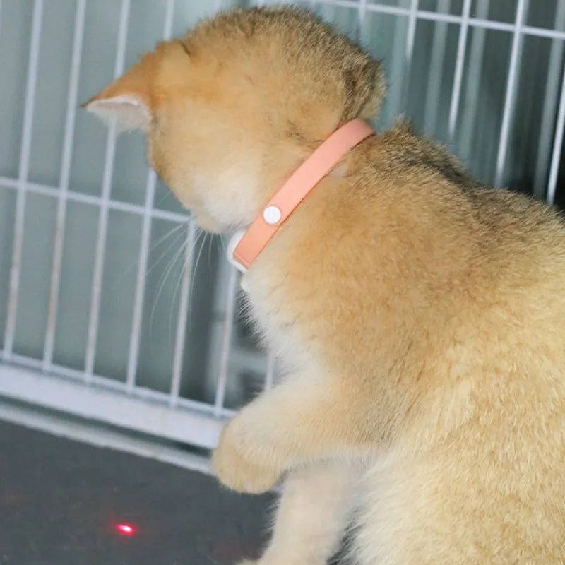 Smart Laser Cat Collar