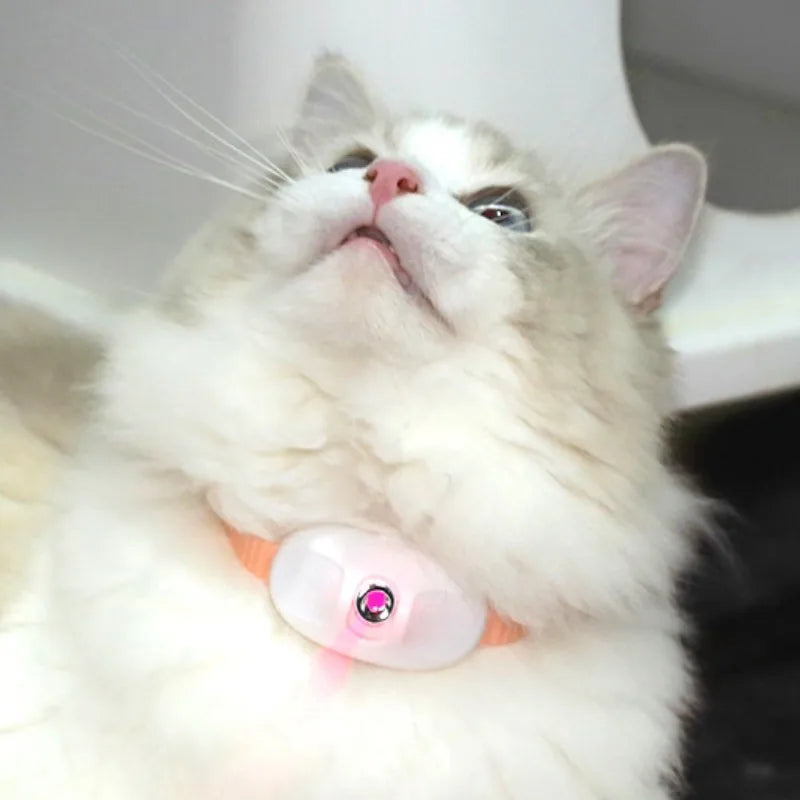 Smart Laser Cat Collar