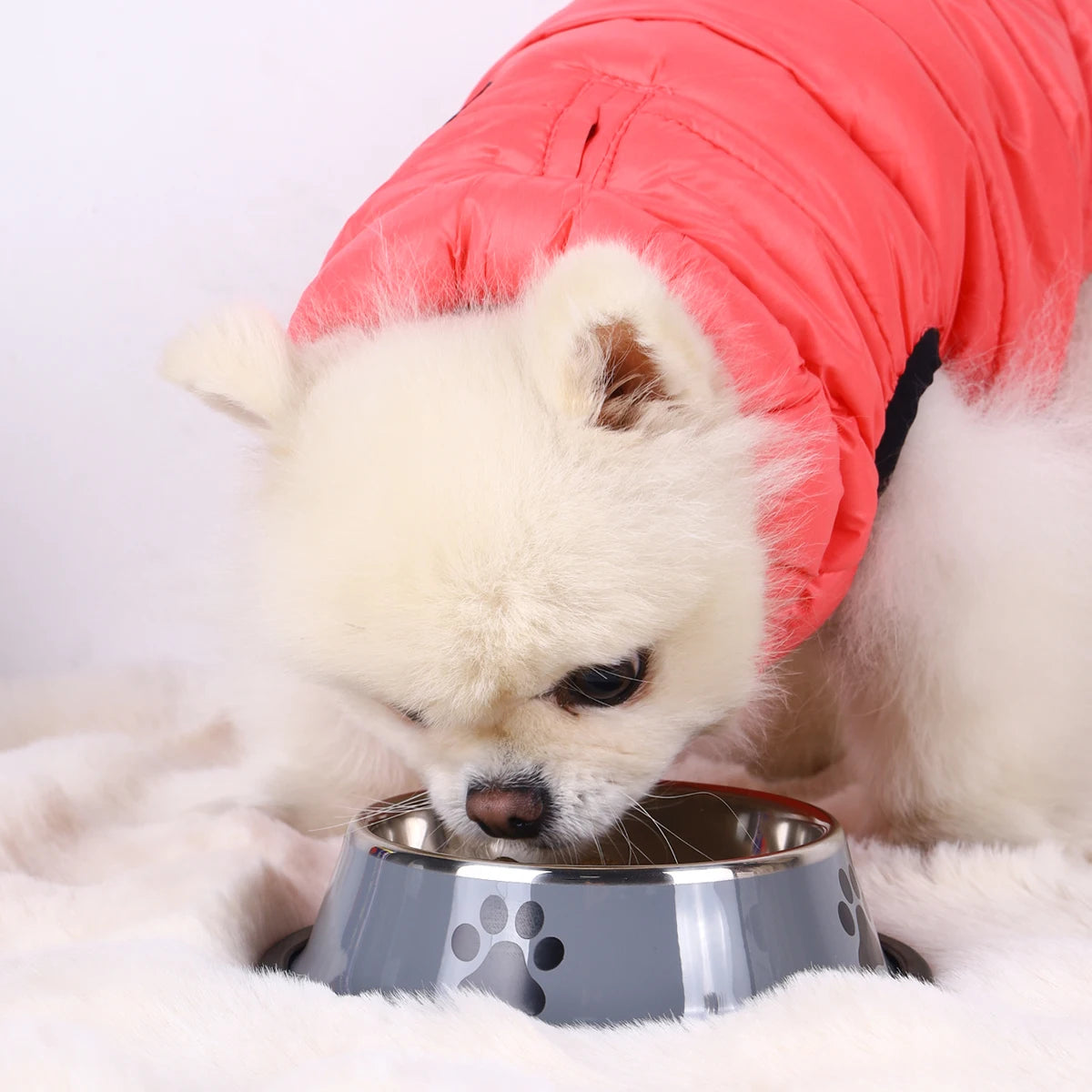 Stainless Steel Pet Feeding Bowl