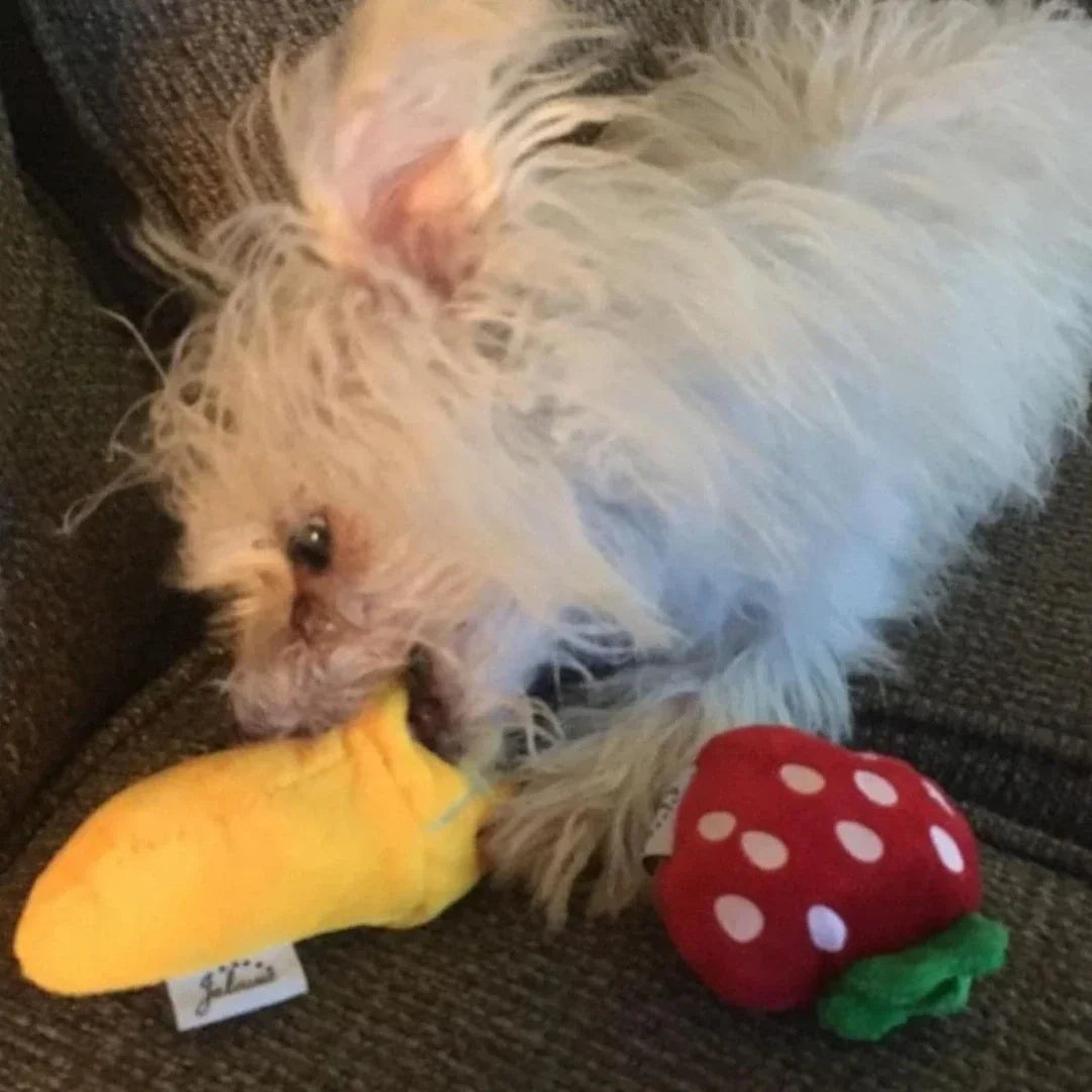 7-Piece Plush Dog Toy Set