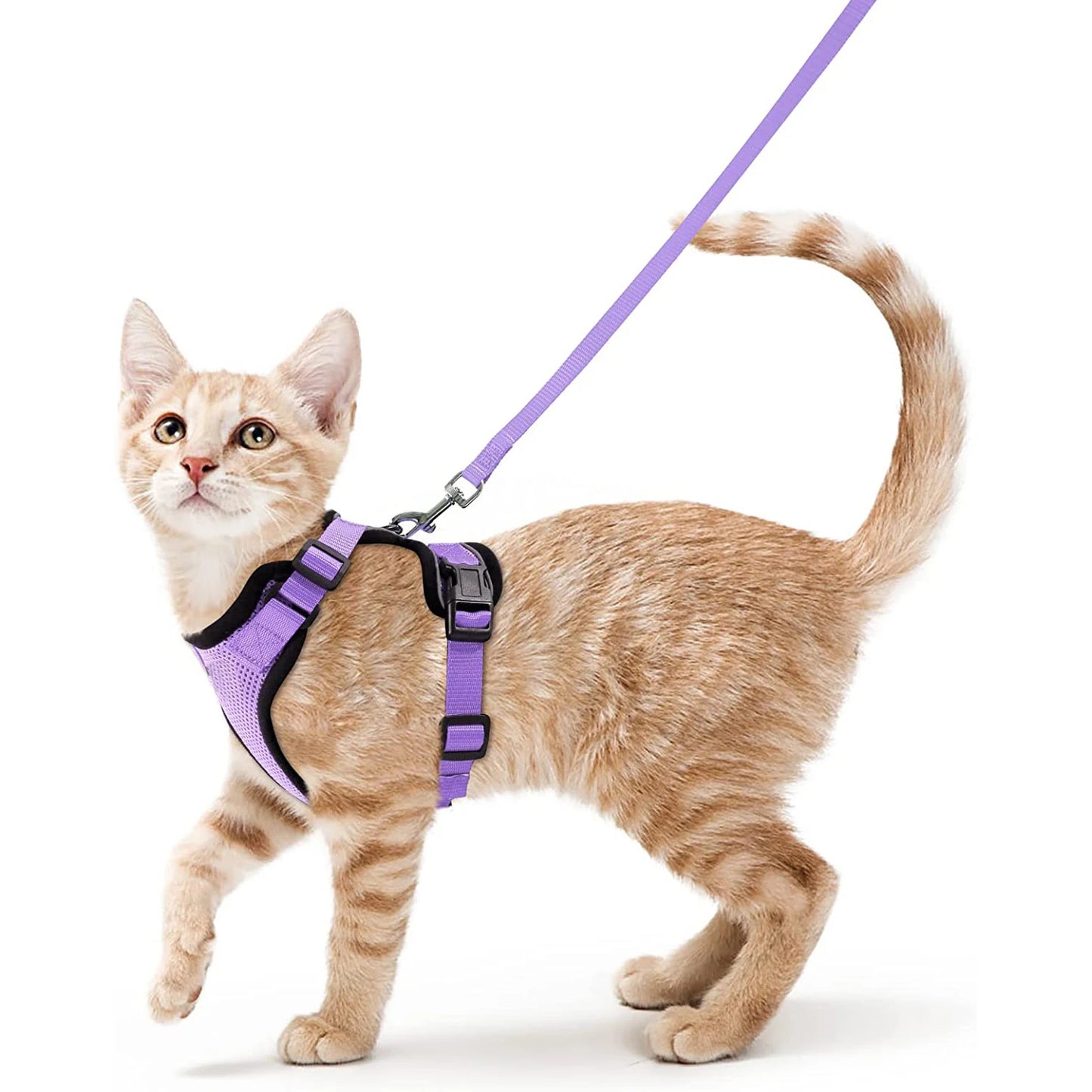 Adjustable Cat Harness with Leash