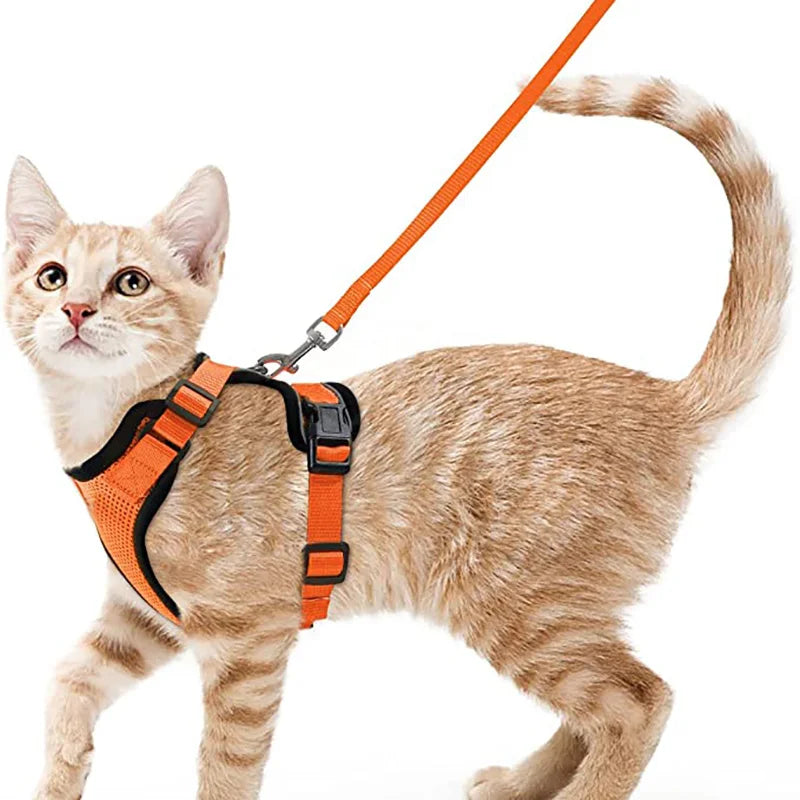 Adjustable Cat Harness with Leash