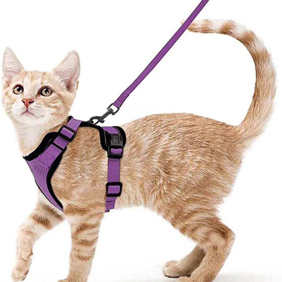 Adjustable Cat Harness with Leash