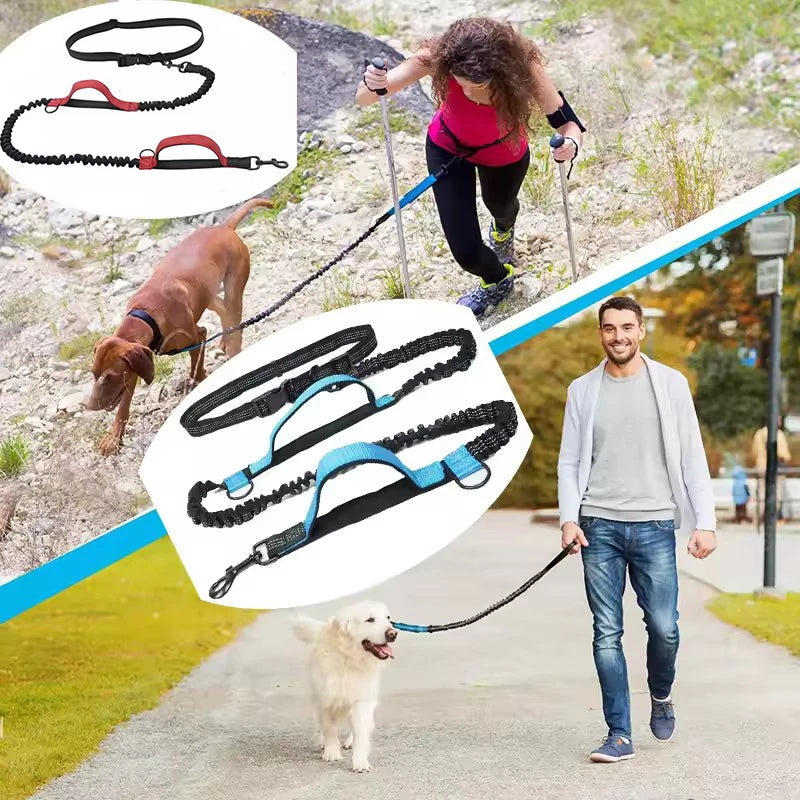 Hands-Free Reflective Dog Leash