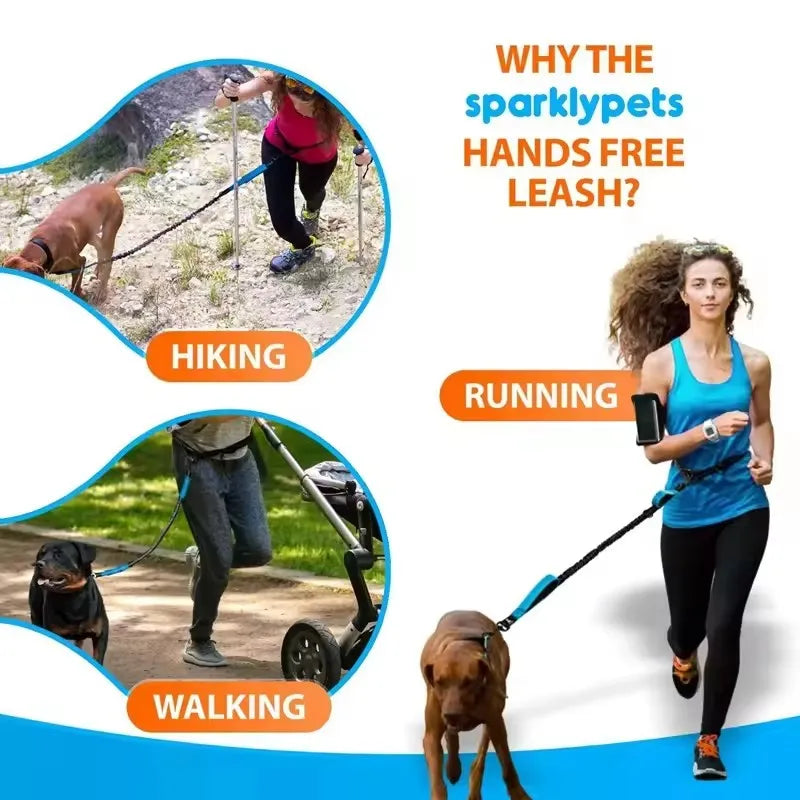Hands-Free Reflective Dog Leash