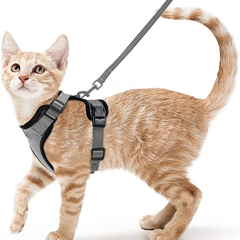 Adjustable Cat Harness with Leash