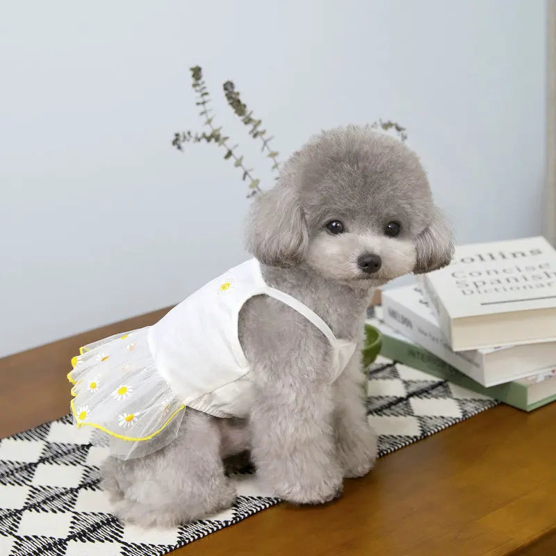 Small Dog Princess Skirt