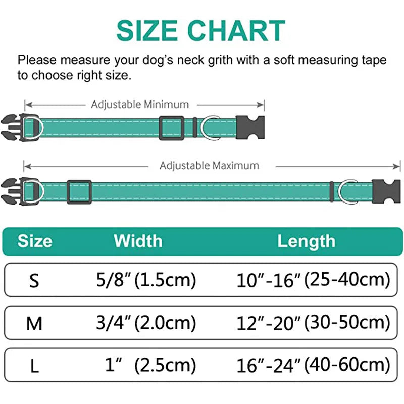 Reflective Padded Dog Collar