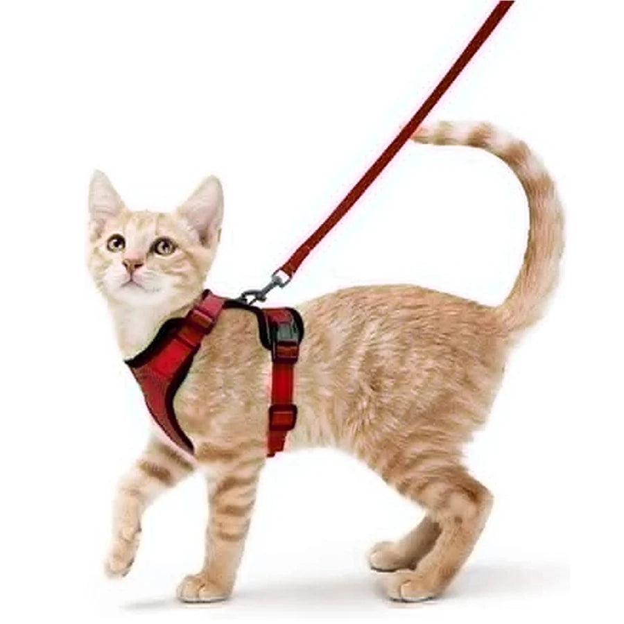 Adjustable Cat Harness with Leash