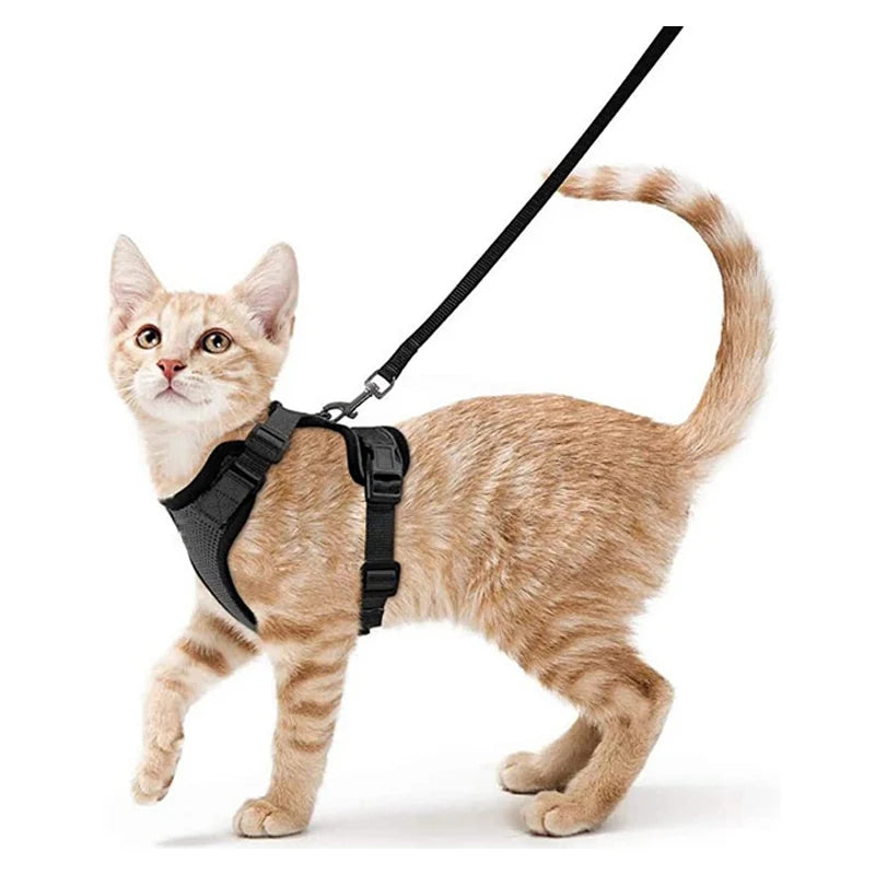 Adjustable Cat Harness with Leash