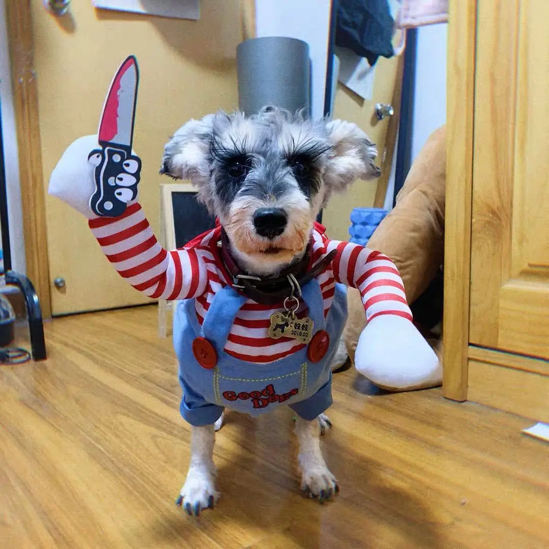 Funny Halloween Pet Costume