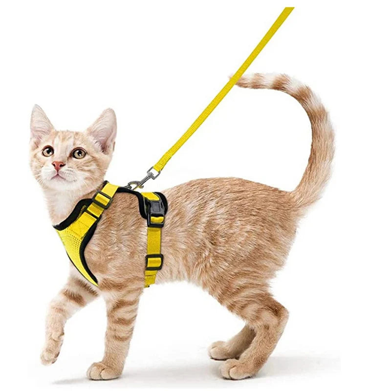 Adjustable Cat Harness with Leash