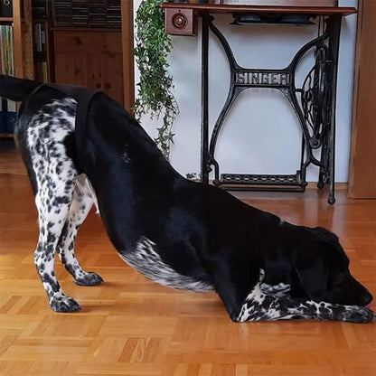 Adjustable Dog Sanitary Pants