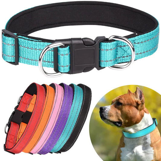 Reflective Padded Dog Collar