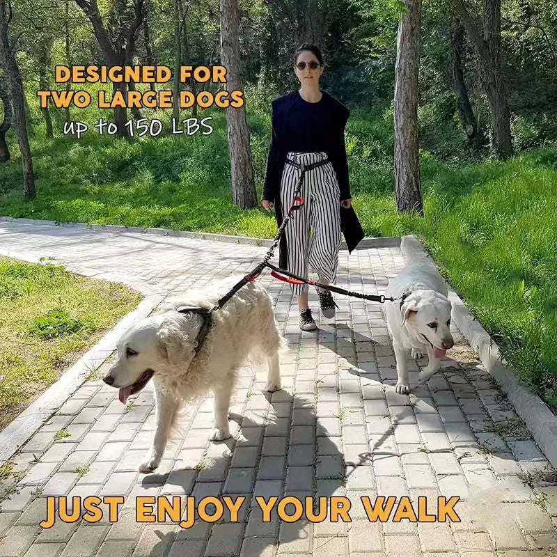 Dual Dog Leash with Padded Handles