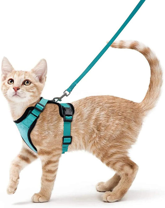 Adjustable Cat Harness with Leash