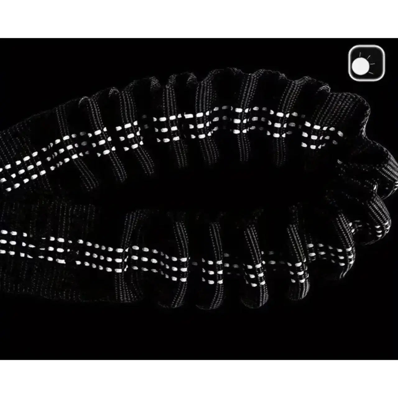 Dual Dog Leash with Padded Handles