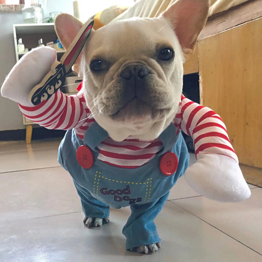 Funny Halloween Pet Costume