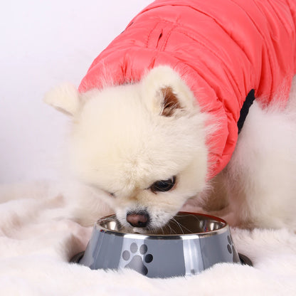 Stainless Steel Pet Feeding Bowl