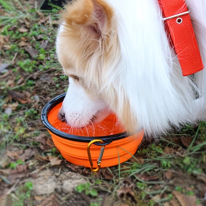 Foldable Travel Pet Bowl