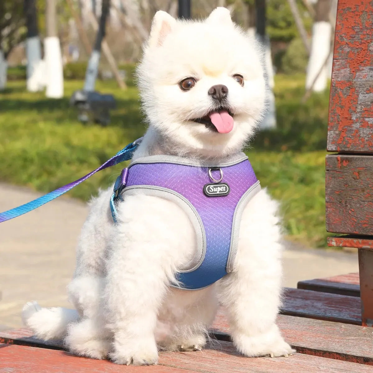 Adjustable Step-In Pet Vest Harness
