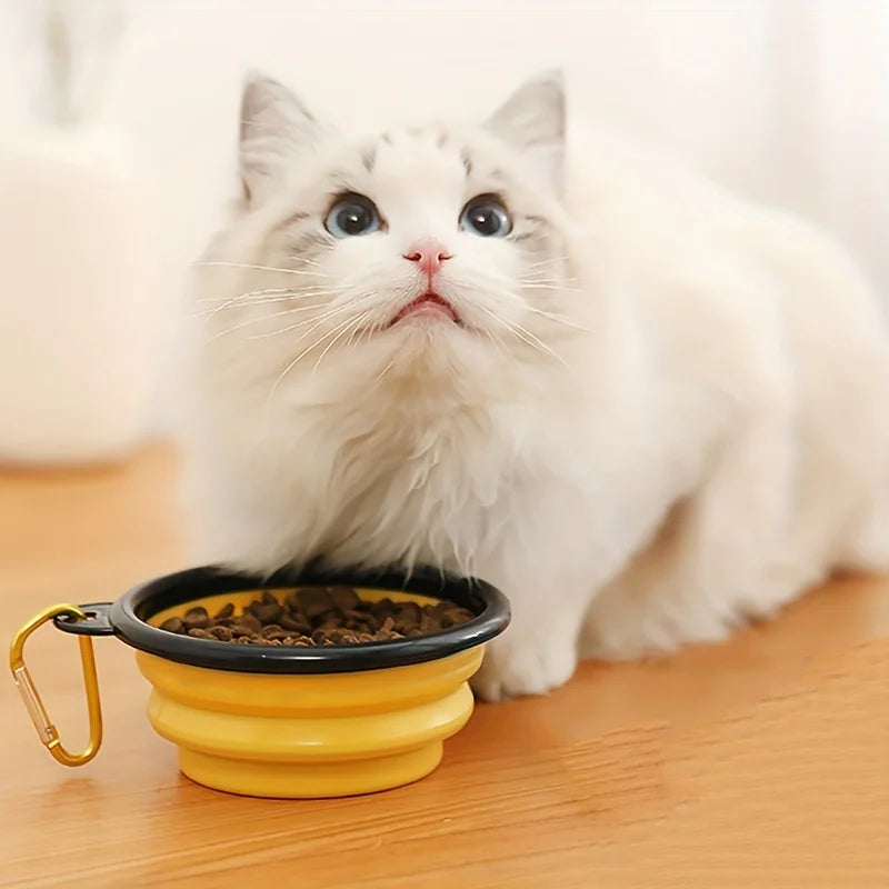 Foldable Travel Pet Bowl